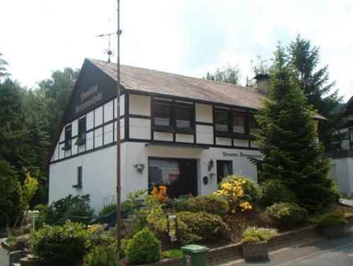 Pension Sonnenschein Schmallenberg Exterior photo